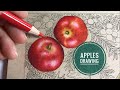 Apples Drawing ~ Colored Pencils Drawing // Chris Cheng