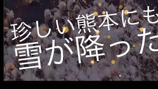 熊本にも雪が降った☃️‼️