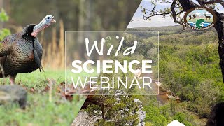 Wild Science Webinar April 2021 - Turkeys and Stream Restoration