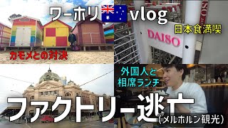 【ワーホリvlog】退屈なのでミートファクトリー軽く逃亡しました