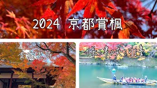 常寂光寺和保津峽河邊 2024紅葉見傾