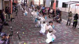 第15回浜松がんこ祭2015～麗人艶舞乱れ打ち