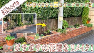 【ガーデニング】「ボサボサの花壇をリメイク！」#shorts /45秒で分かる庭の匠のガーデニング術！【金井流ガーデンリメイク】