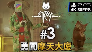 #3 勇闖摩天大廈《Stray》