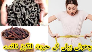 Choti Pipli ke zabardast Fayde | Best for weight loss and Nutrition