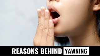 நாம் ஏன் கொட்டாவி விடுகிறோம்? | why do we yawn? | Science explained