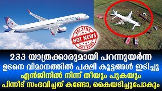 233 യാത്രക്കാരുമായി പറന്നുയർന്ന ഉടനെ വിമാനത്തിൽ പക്ഷി കൂട്ടങ്ങൾ ഇടിച്ചു, പിന്നീട് സംഭവിച്ചത്