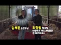 대동테크 사료공급기 조사료 급여 다푸러 사용후기 담양 정을성님 임채훈님 볏짚 라이그라스 급여