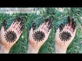 Beautiful Golltikki Mehndi Design || Rajan Mehndi Art 1M