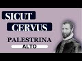 Alto Dominant - Sicut Cervus (Palestrina)
