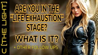 The Life Exhaustion Stage: What Is It? / Plus Other Updates - C [The Light]