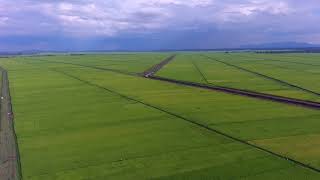 Mwea Irrigation Scheme