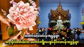 အကုသိုလ်ဓာတ်ပါပြီး မကောင်းကျိုးကိုသာပေးစွမ်းနိုင်သောကြောင့် မလှူသင့်သော ပန်းများ