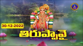 ధనుర్మాసోత్సవం || తిరుప్పావై || Dhanurmasotsavam || Tiruppavai || Tirumala || 30-12-2022 || SVBC TTD