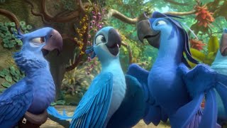 Rio 2 • Beautiful Creatures Scene (HD)