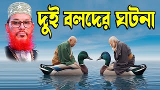 তিন বলদ বান্দার শিক্ষামূলক কাহিনী | দেলোয়ার হোসেন সাঈদী | Soja Rasta