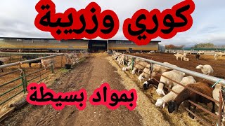 انشاء زريبة سهلة للغنم وشرح تصميم الكوري من كل الجوانب