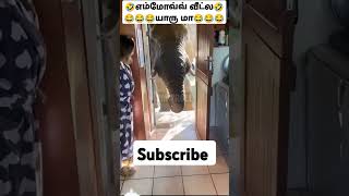 எம்மோவ்வ் வீட்ல யாரு மா  #funnyvideo #funnyshorts