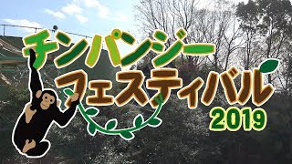 チンパンジーフェスティバル2019