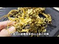 春天，碰到此菜别手软，一次性囤10斤，放冰箱冻起来，好吃又省事