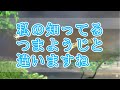 ≪切り抜き動画≫なんだか可愛くない【歩サラ アンチャーテッド】