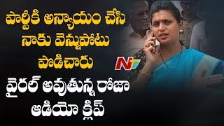 MLA Roja Leaked Phone Call Goes Viral In Chittoor District | NTV