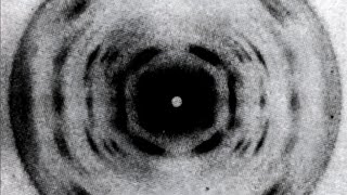 Ethel Cain - Perverts fanmade deluxe visualizer