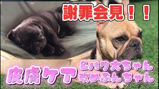 皮膚ケア(アトピー性皮膚炎)\u0026パグっ子大ちゃん改めぶんちゃんへの謝罪！