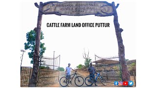 Cattle farm land office Puttur|| 64KM cycling||#KK_CREATIONS #puttur #koila