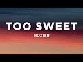 Hozier - Too Sweet (Lyrics)