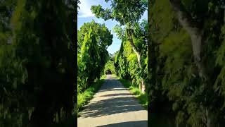 স্যার জগদীশ চন্দ্র বসুর বাড়ি। #shorts #shortvideo