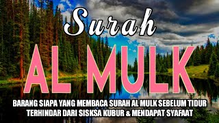 Surah Al-Mulk Bacaan Merdu Pengantar Tidur, Terhindar Dari Siksa Kubur 