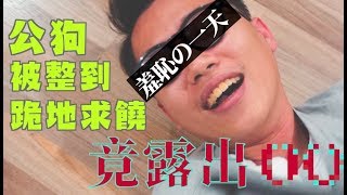 《頑Joke》公狗被整到跪地求饒！最羞恥的一天， 竟露出OO【頑GAME】