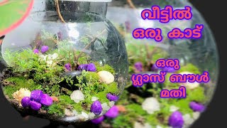 ഒരു ഗ്ലാസ് ബൗളിൽ terrarium ഉണ്ടാക്കിയാലോ small forest