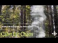 Calm the Chaos | Grounding Breathwork (13 minutes)