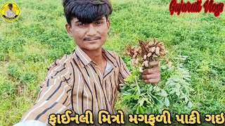 ફાઈનલી મિત્રો મગફળી પાકી ગઇ|Finally, Friends: Peanuts Have Ripened #vlogs #vijayvlogs #farmingvlogs