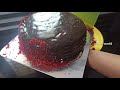 cake vlog 🎂 vlog malayalam sanus world