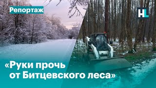 Собянин уничтожает Битцевский лес?