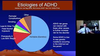 ADHD Overview - Part IV - Causes