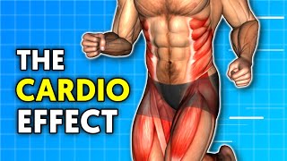 STOP Avoiding Cardio When Building Muscle