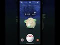 色違吉利蛋來報到 pokemongo pokemon ポケモン 寶可夢 神奇寶貝 shinypokemon 異色 色違 吉利蛋 chansey ラッキー