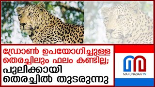 പന്നിക്കെണിയില്‍ നിന്ന് രക്ഷപ്പെട്ട പുലിക്കായി തെരച്ചില്‍ തുടരുന്നു |search for the tiger continues