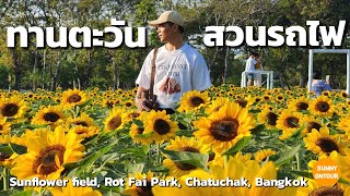 นั่งรถไฟฟ้าใต้ดินไปดู ทุ่งทานตะวัน สวนรถไฟ สวยมาก! Sunflower field, Rot Fai Park, Chatuchak, Bangkok