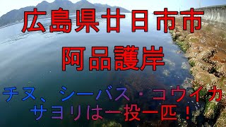 【海中動画】第5巻：広島県廿日市市阿品護岸①！の巻