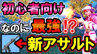 使いやすいのに最強！？今シーズンの初心者向け銃が強すぎた！！【フォートナイト/ゼロビルド/コラテラルダメージアサルトライフル】電気バットニーキャッパーも！