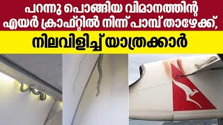 പറന്നു പൊങ്ങിയ വിമാനത്തിന്റ എയർ ക്രാഫ്റ്റിൽ നിന്ന് പാമ്പ് താഴേക്ക്, നിലവിളിച്ച് യാത്രക്കാർ