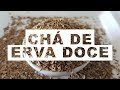 Os 12 Benefícios do Chá de Erva Doce Para Saúde | Dicas de Saúde