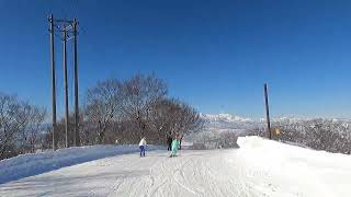 2024/1/14 野沢温泉スキー場に来たらやっぱりここ！山頂からスカイラインをかっ飛ばして、そのままパウダーに飛び込んでみました。