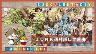 【多肉植物】花壇の再構築始めました ー野良猫対策花壇ー【succulent】#1