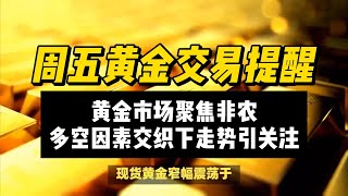 (06/09/2024)黄金市场聚焦非农，多空因素交织下走势引关注 | #黄金 #原油 #美元指数 #美元 #金价